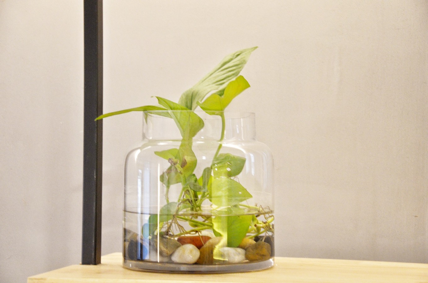 一座白楼，青山环绕，云卷雾舒～享受在莫干山野的娴静自由