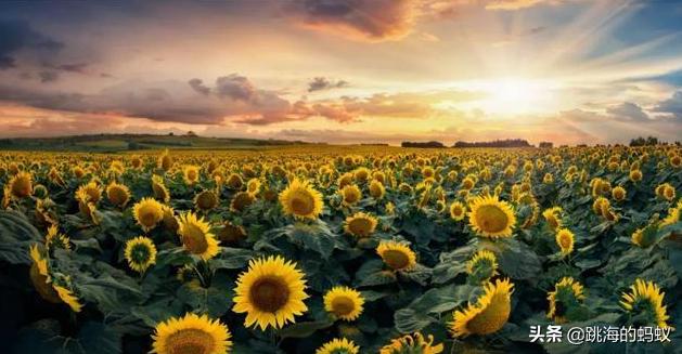 坝上草原拍照打卡,旅游打卡坝上草原