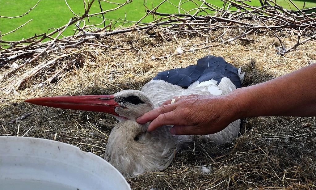 18年感人的爱情故事视频,18年感人的爱情故事