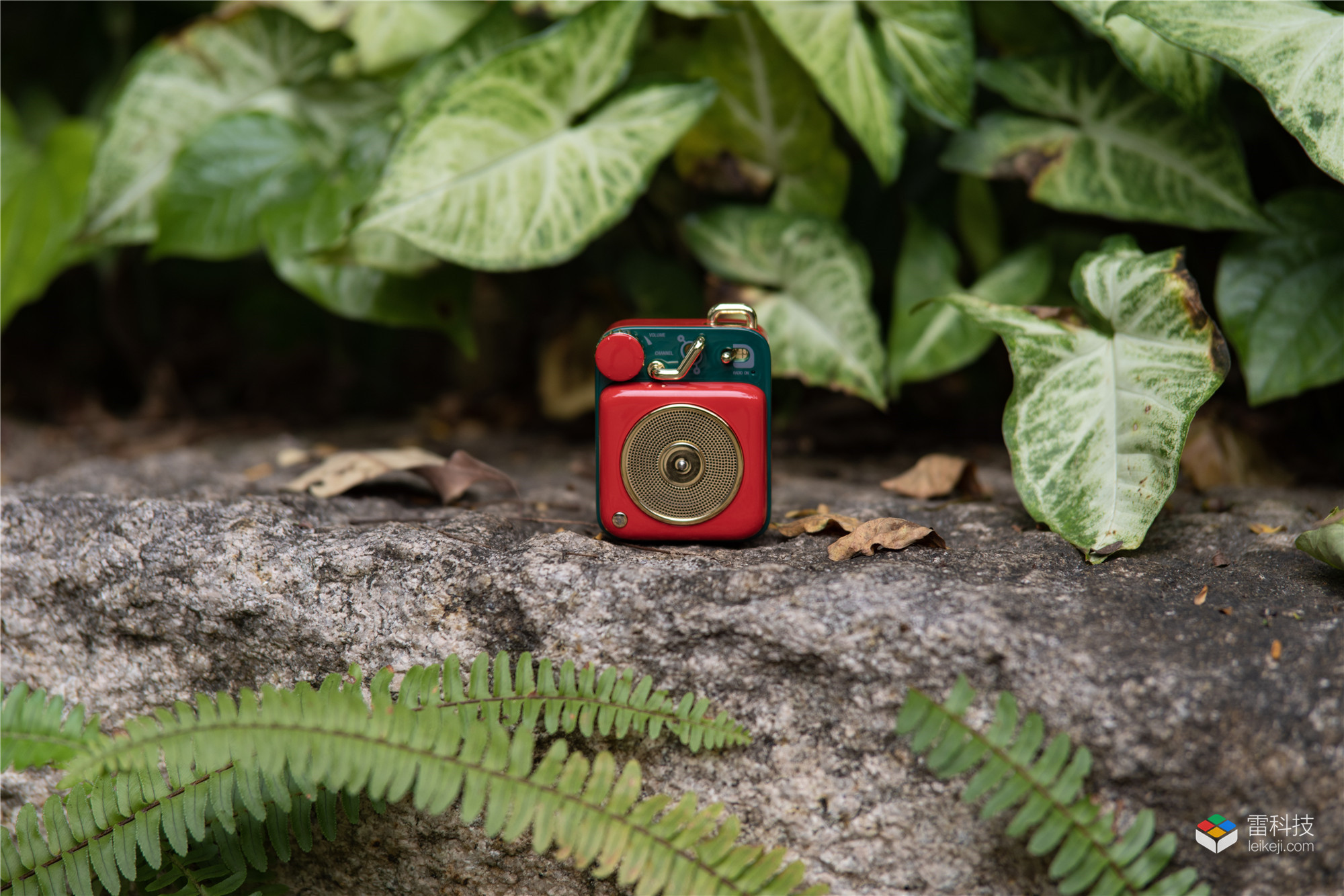 猫王原子唱机评测,猫王原子唱机和野性mini哪个好