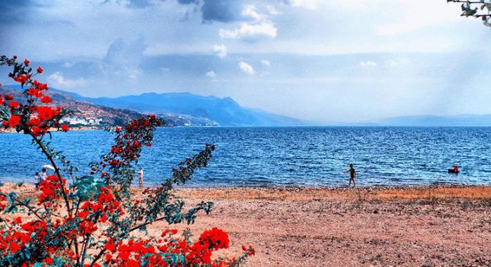 洛国富晋级,洛国富无缘国家队