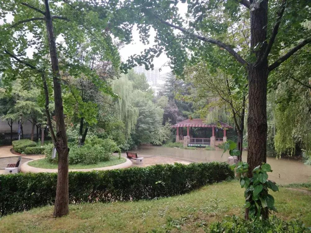 高新学区房和学位房有啥区别,鸿园小区是学位房还是学区房