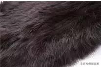 真假皮草区别是什么如何辨认,貂毛皮草真假怎么辨别