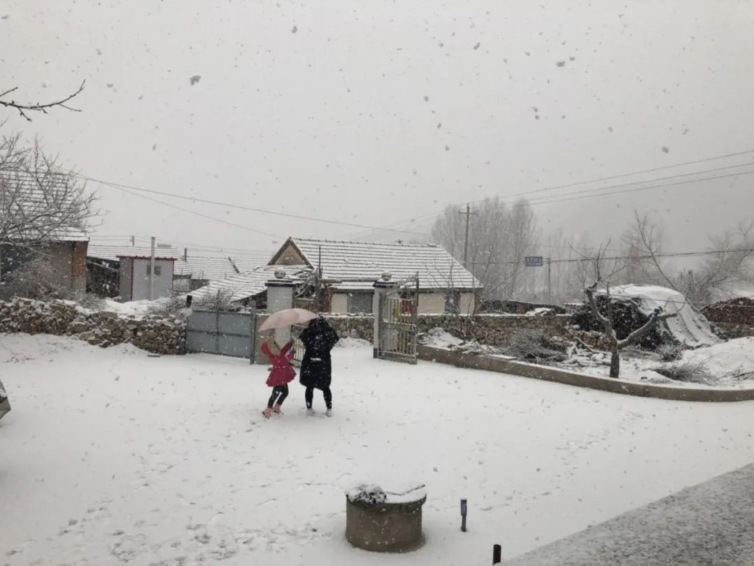 破马张飞骑驴,破马张飞怎么样