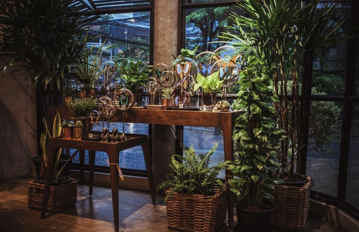 超全的曼谷购物攻略！去了泰国上百次，这里才是购物NO.1