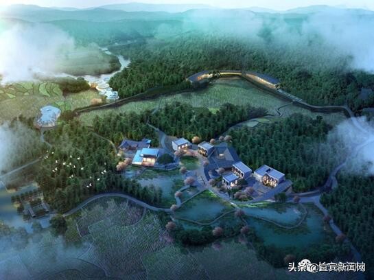 竹文化主题旅游线路,攻略看过来来顺德打卡醉美水杉