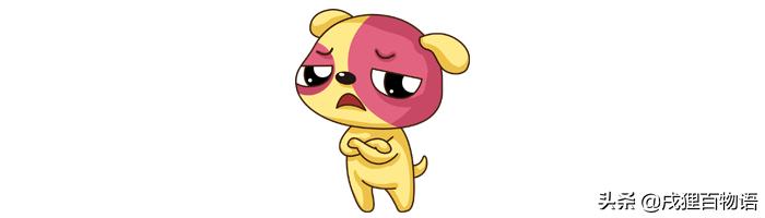 绝育会导致猫应激吗,狗狗绝育后真的会听话吗