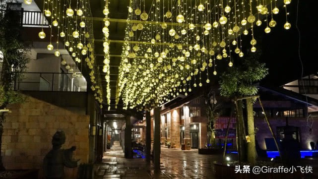 小苑温泉民宿宜春,江西宜春富硒温泉民宿