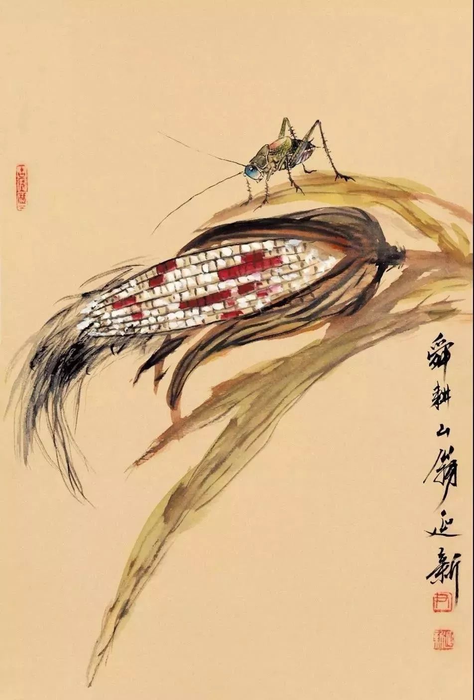 齐白石水墨小品欣赏,齐白石虫草长卷