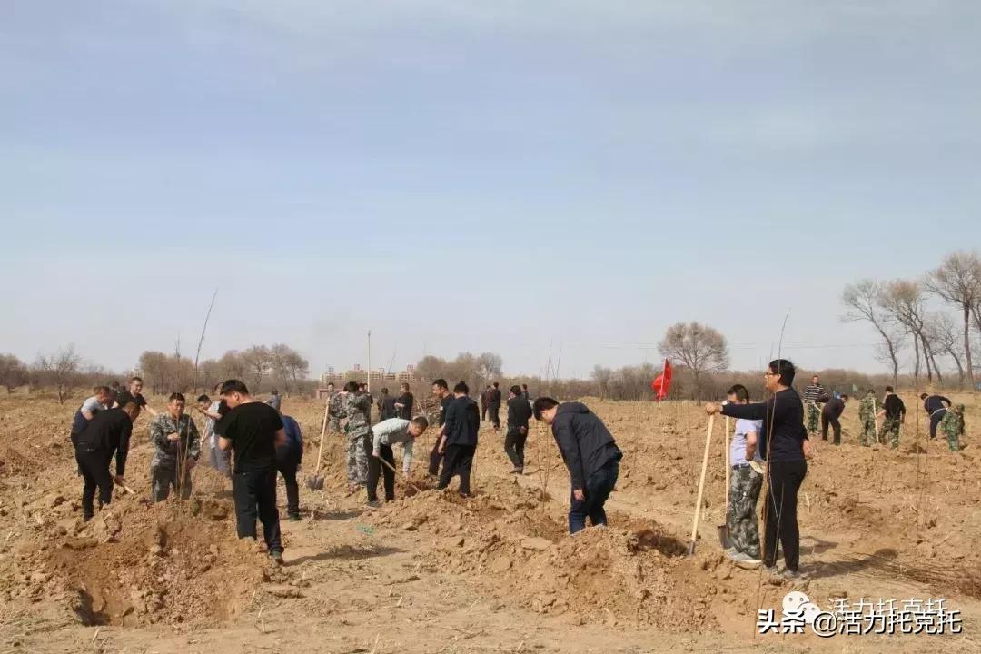 陕西省旬阳双河镇卷棚村乡村振兴,双河镇乡村振兴