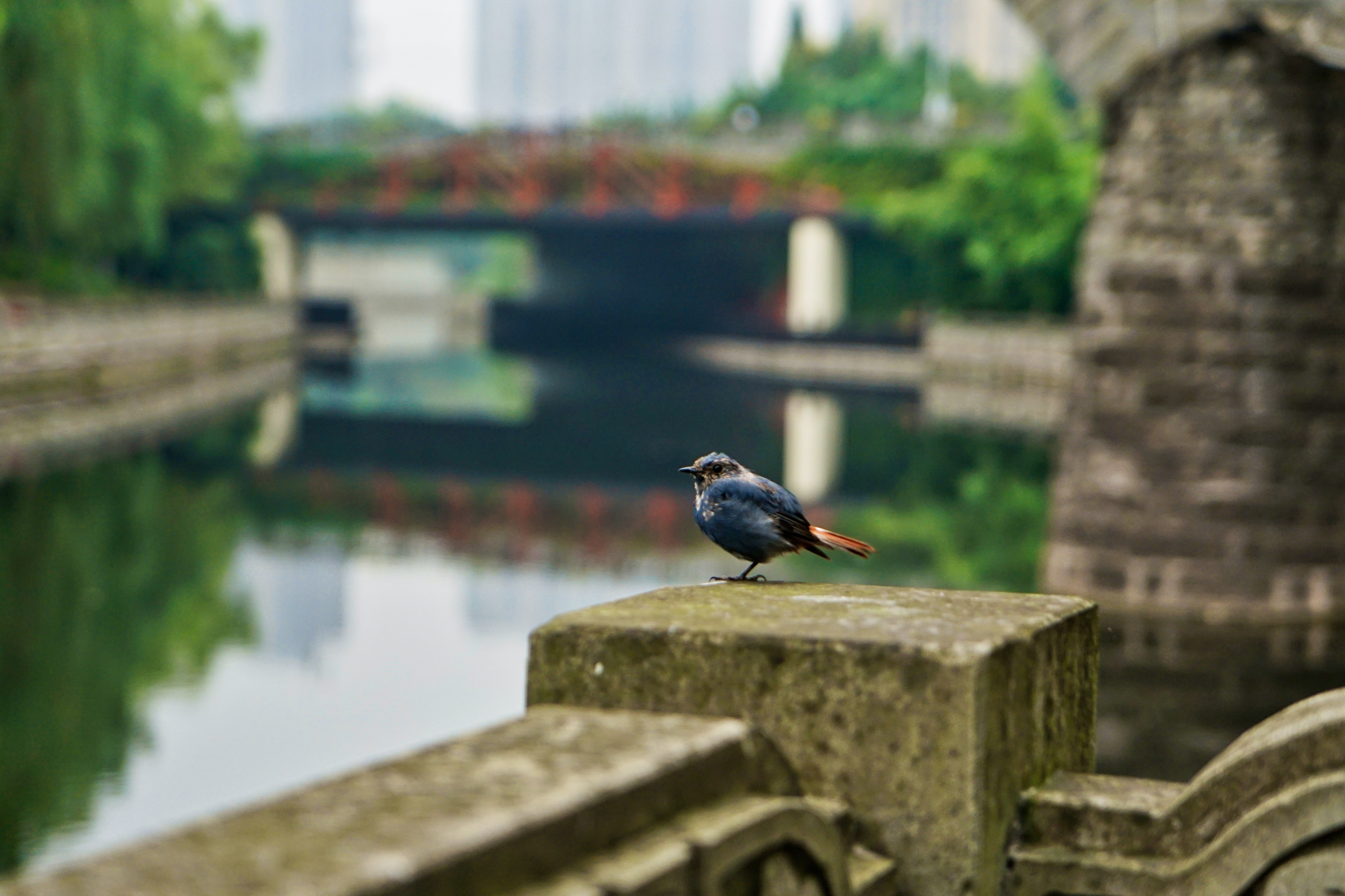 重庆有座绝美古镇,重庆有山有水的古镇