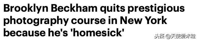 贝家大公子：干啥啥不灵，5年换10个女友