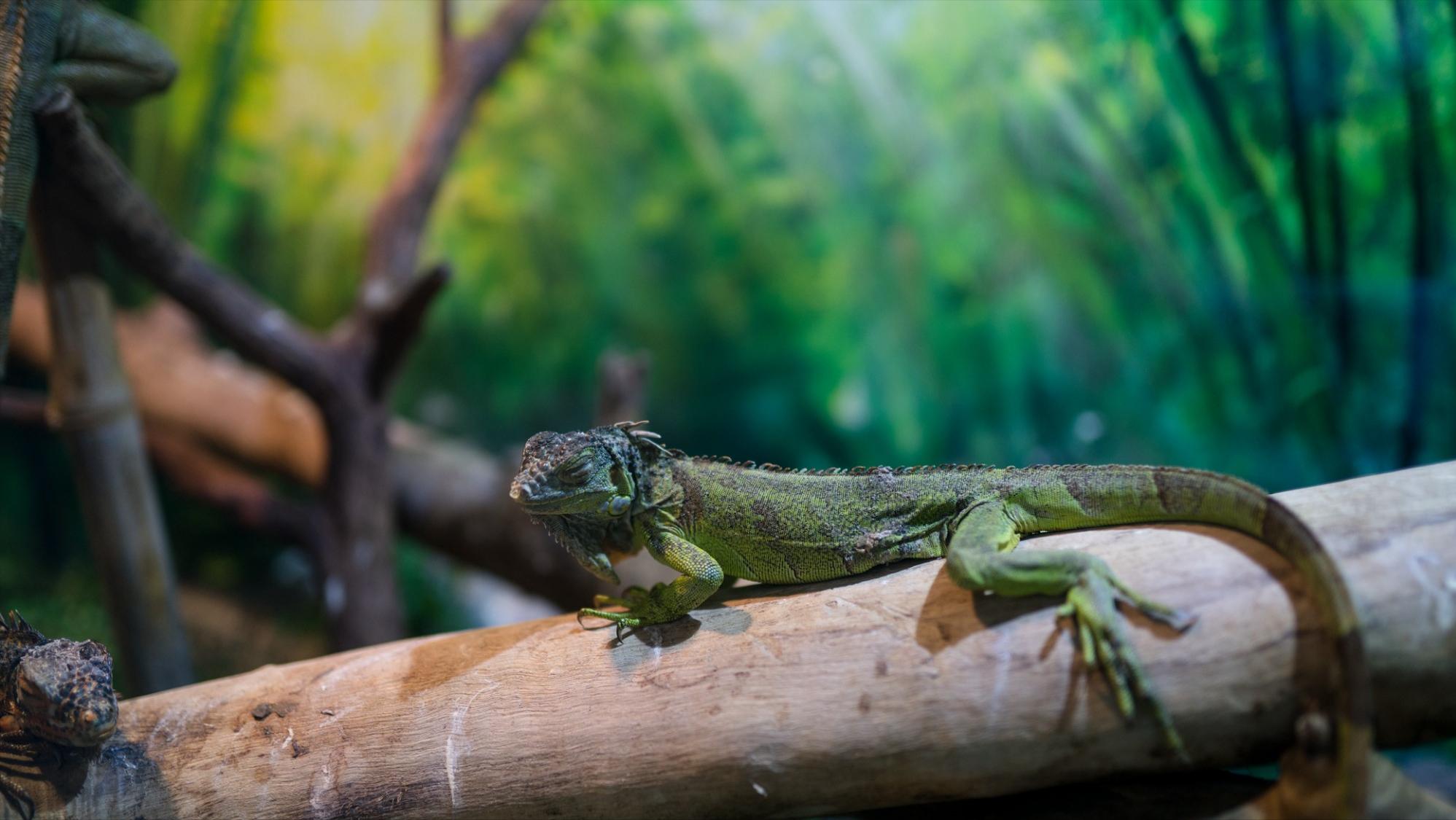 福州15万平方米的海洋世界，半小时带你打卡南北极，五一的好去处