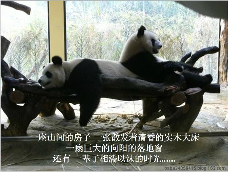 我只想说声爱你,只想再爱你一次