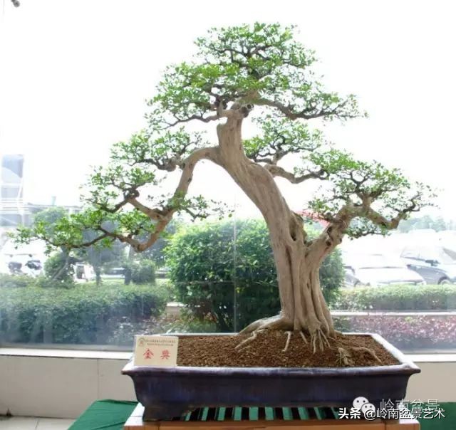 骞哥涔呬箙鐢滅敎铚滆湝,骞哥涔呬箙