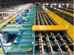 日本农业成功的主要经验,中国和日本农业差距50年