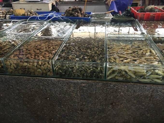 秦皇岛南戴河吃海鲜哪里便宜,秦皇岛海鲜哪里最好最实惠