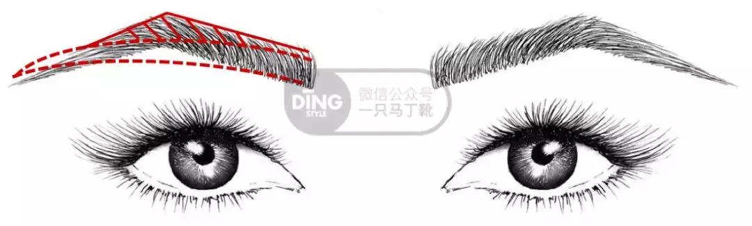 中庭短显年轻还是显老,中庭长怎么避免显老