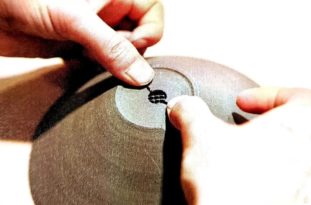 阳台养花垫片大全,去花盆小虫的小窍门