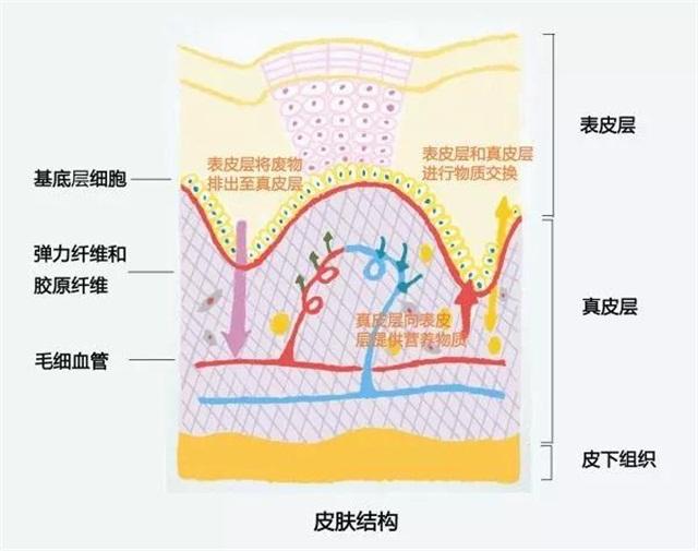 孕期护肤品不是孕期慎用就可以吗,孕期护肤品有什么禁忌