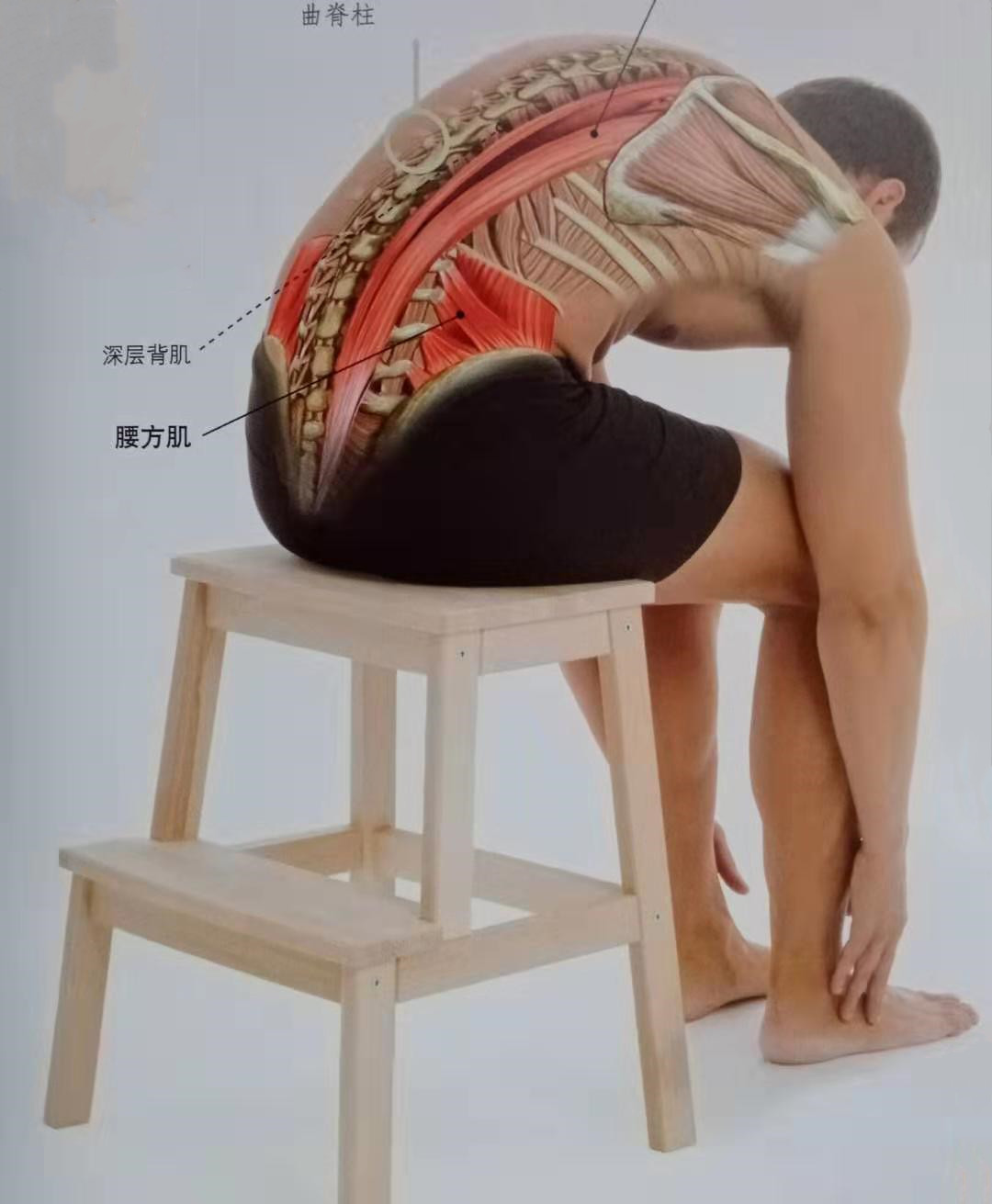 每天久坐不动用电脑，玩游戏腰酸背痛？教你几个简单动作迅速缓解