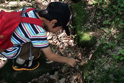 跟虫子谈恋爱,跟昆虫谈恋爱