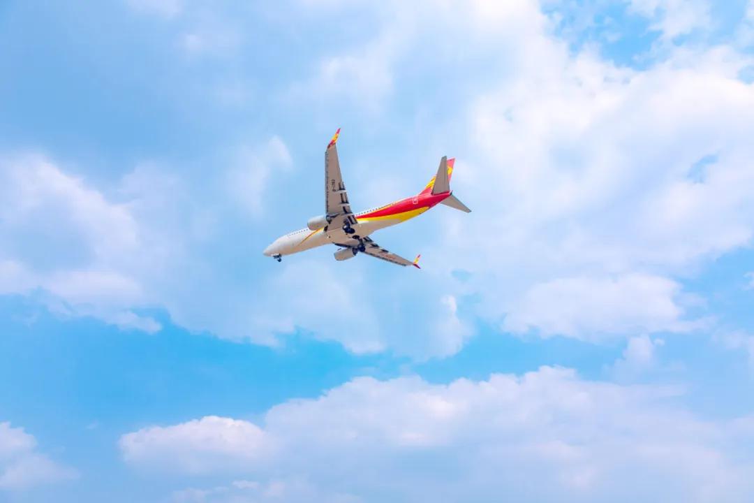 在空港花田里怎么拍照好看,每张都是屏保