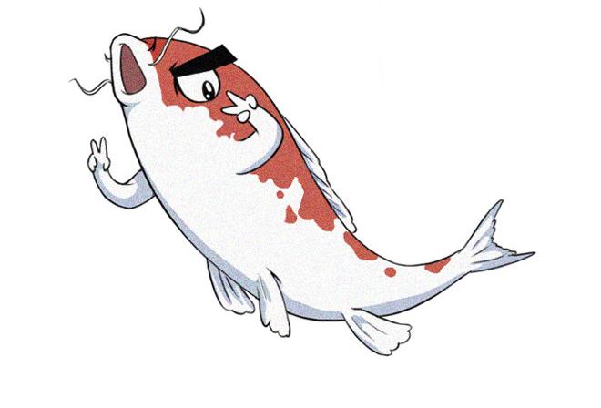 刚买的锦鲤放入鱼缸肚子朝上,锦鲤带回家第一天需要加热打氧吗