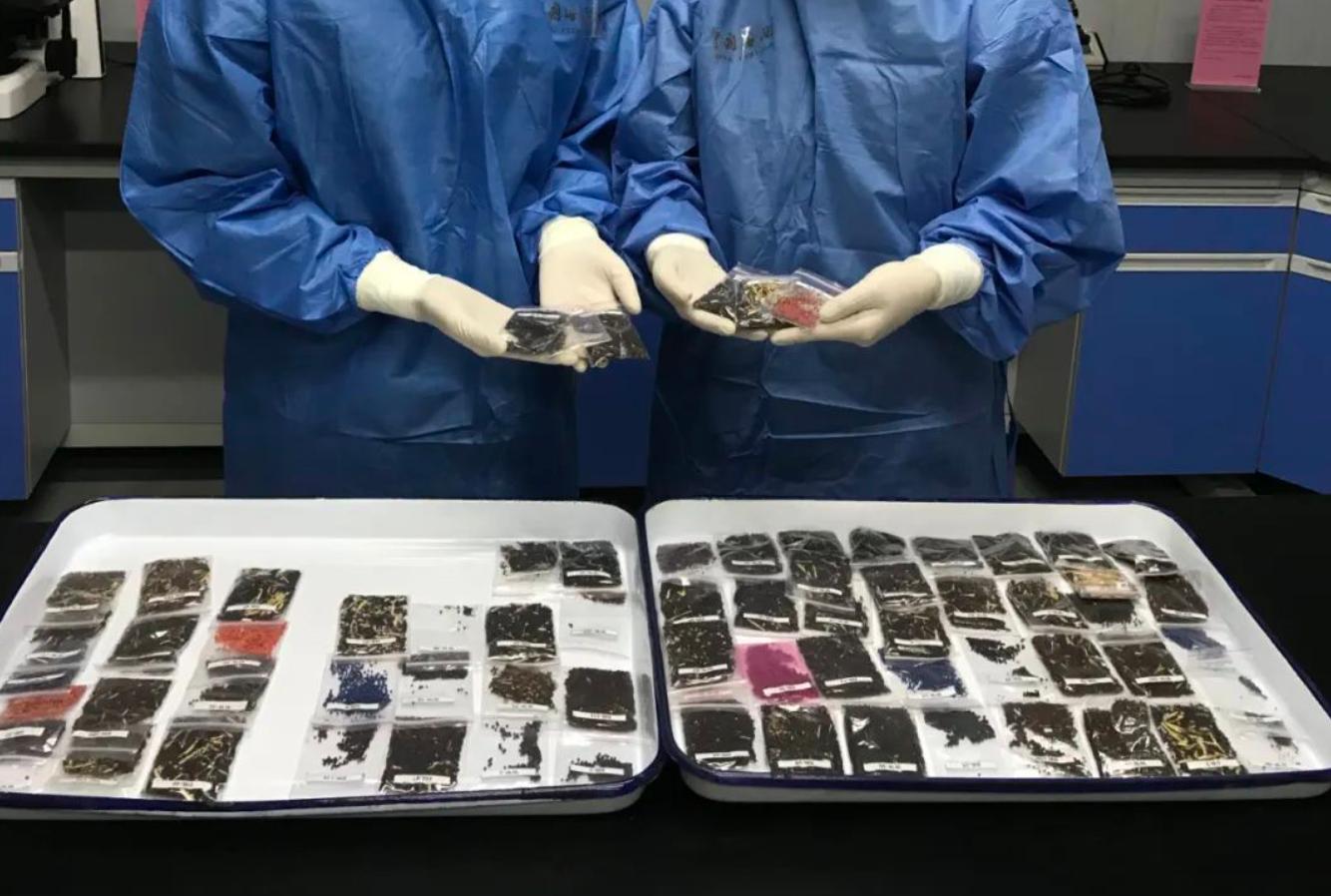 个人买的种子邮寄进口为什么都会被查扣？