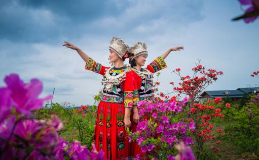 川河盖上的“映山红”开了“周末”来一场花的“艳”遇