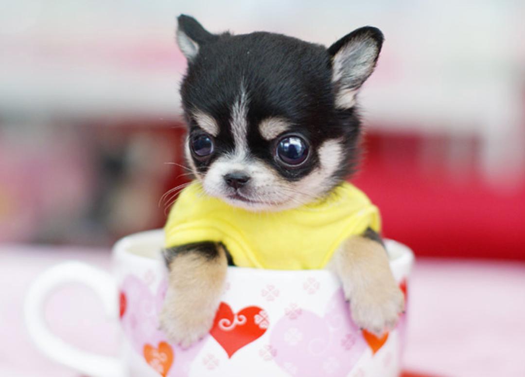 你有什么资格说爱我吗,你有什么资格说爱我完整版