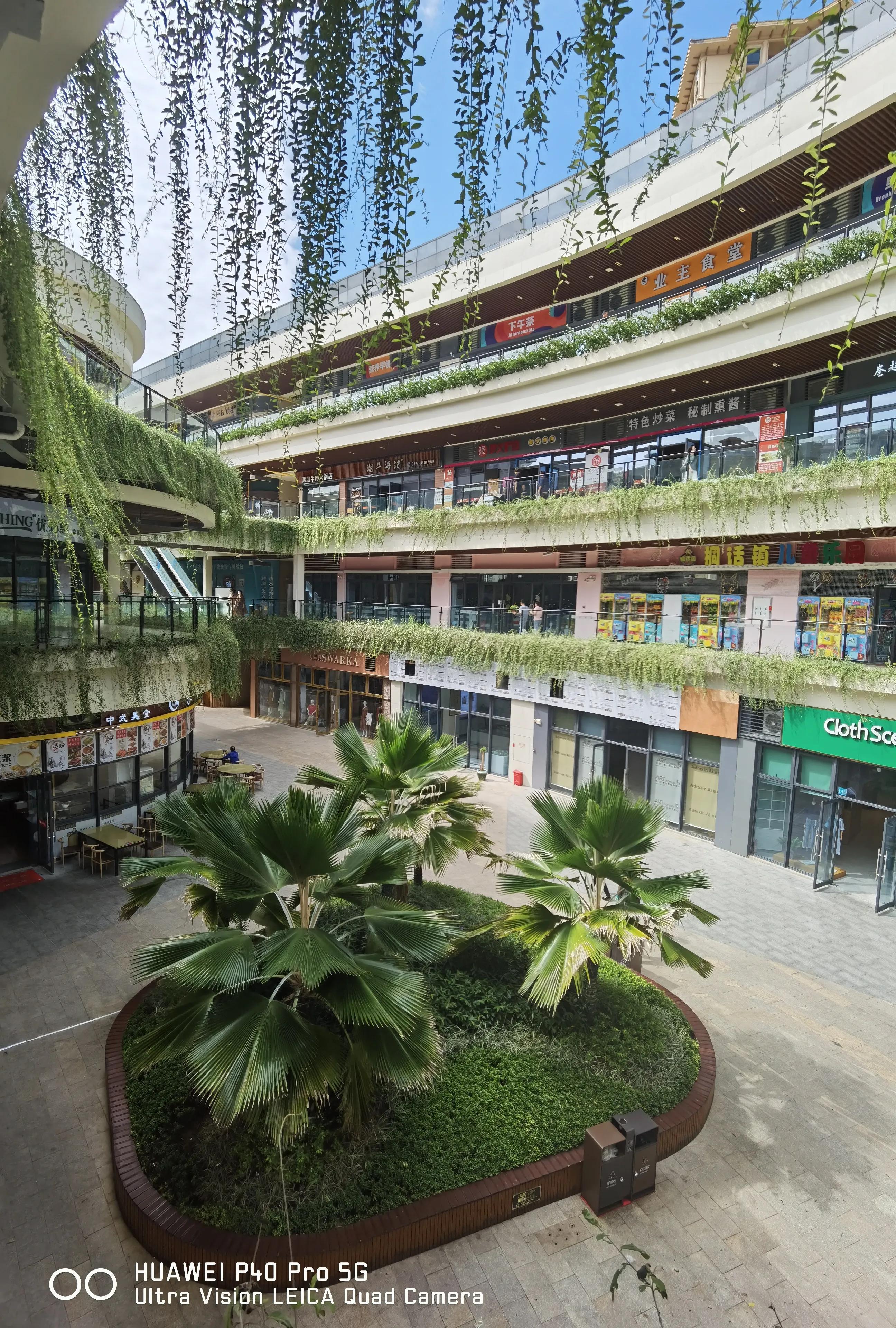 适合猫冬养老旅居好去处,海南东方旅居攻略