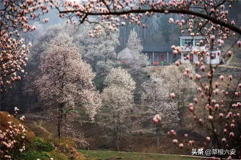 免费!六安这里竟然藏着这么惊艳的景色,少有人知道!