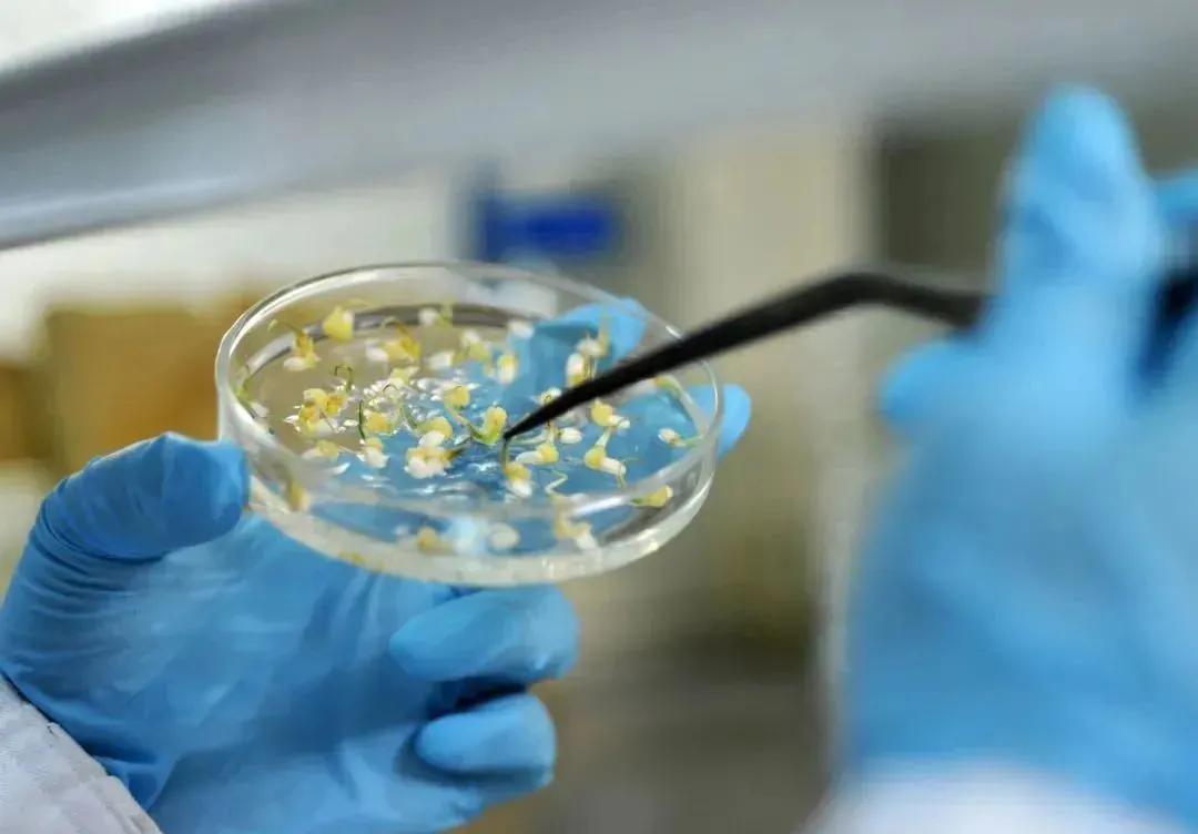 在你心中世界是什么颜色的,在你心中是什么样子的