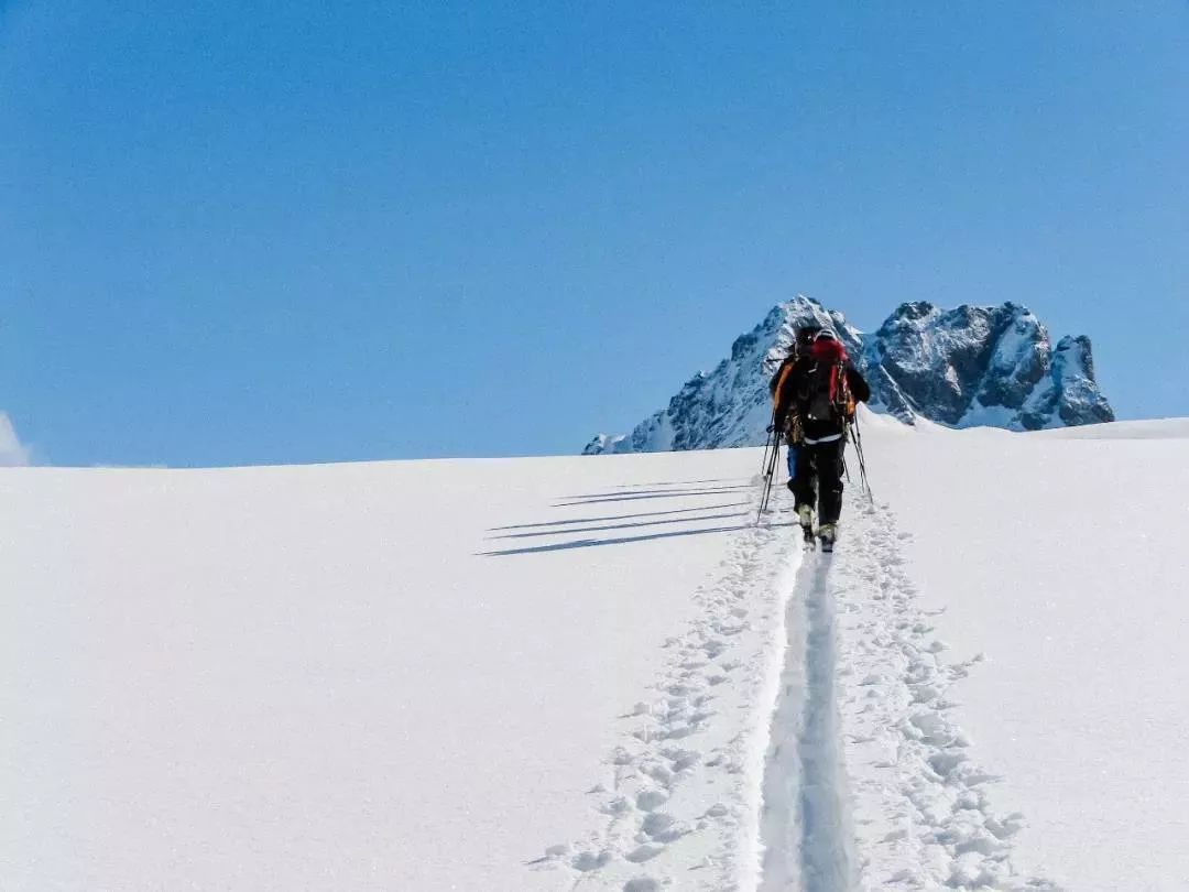 为啥波司登比雪中飞贵,波司登今年为什么这么贵