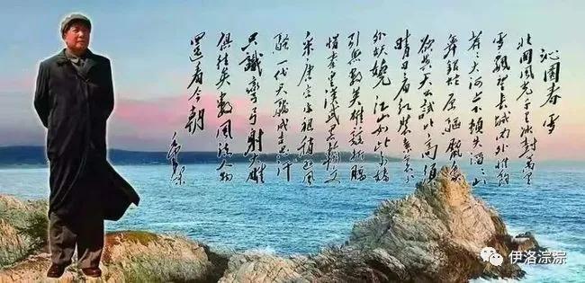 近体诗分为什么,近体诗详解