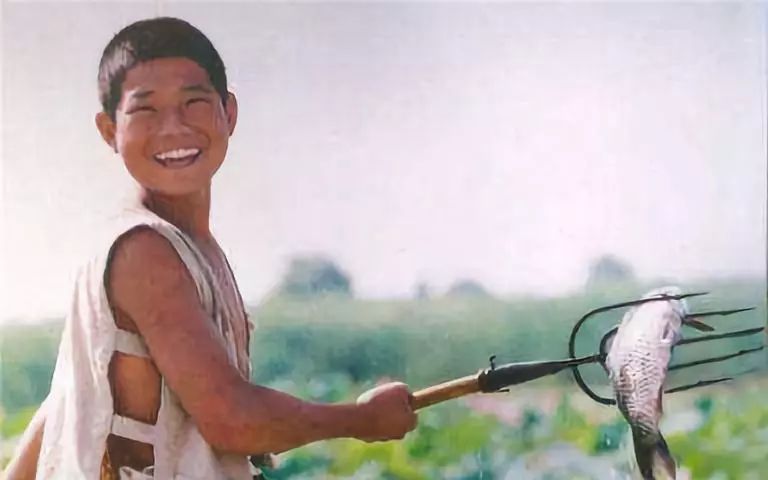 郝邵文吴磊张一山童星,那些年我们曾经的演员