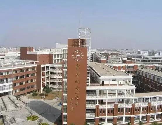 白沙洲，是我生活的底色