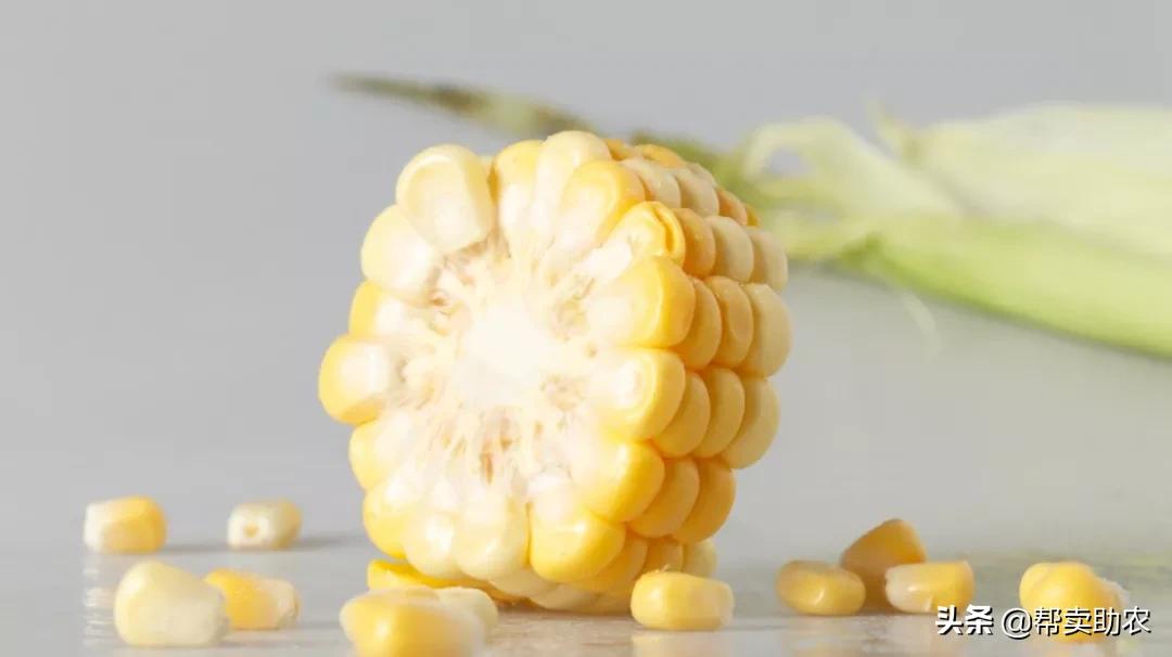 爆浆糖心水果玉米,如何挑爆汁甜的水果玉米