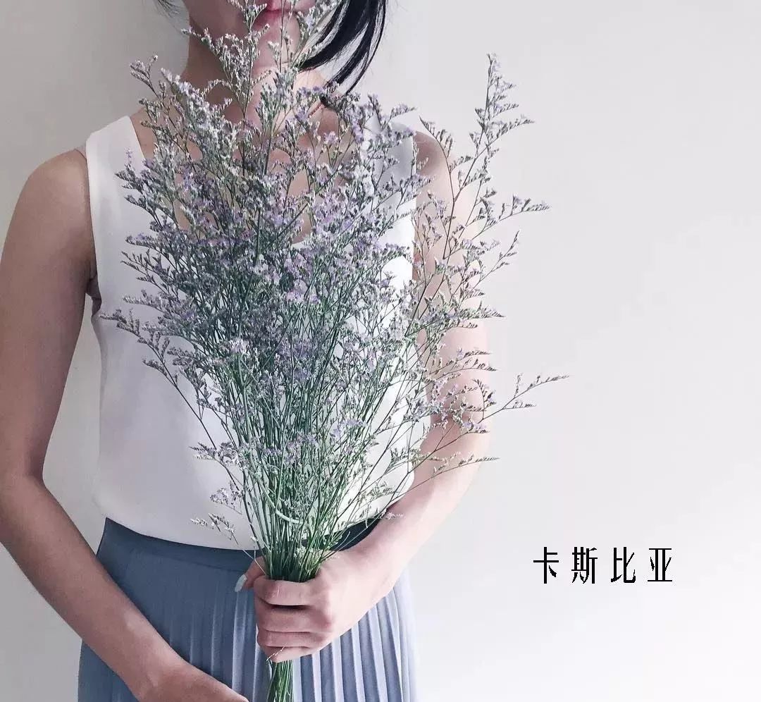 鲜花店常见花材品种大全,花店里同款的两种不同价格的花材