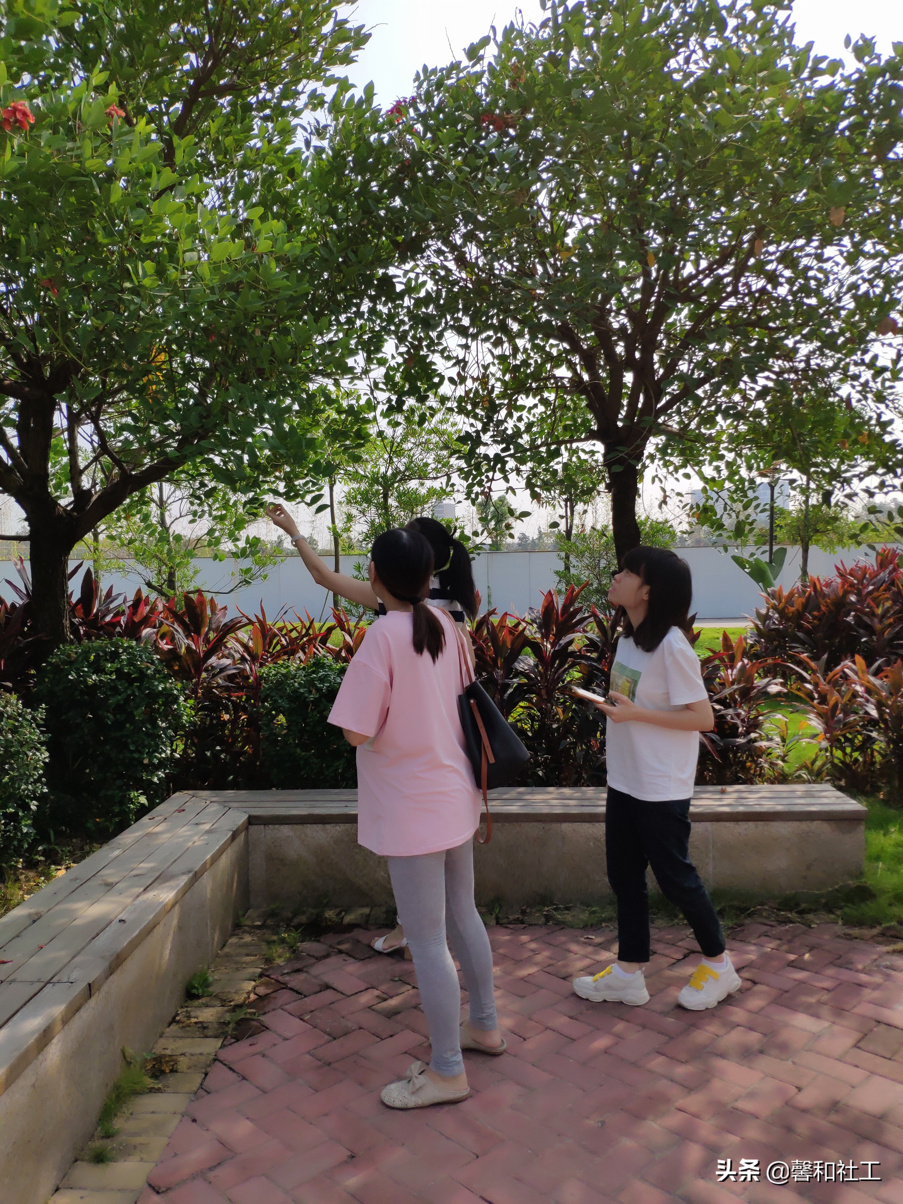 佛山养老护理员免费培训班报名,社工服务培训学习