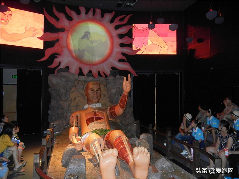 上海打卡地科技馆,打卡上海国家森林公园