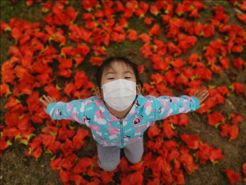 厦门园博苑带娃游玩攻略,厦门遛娃公园