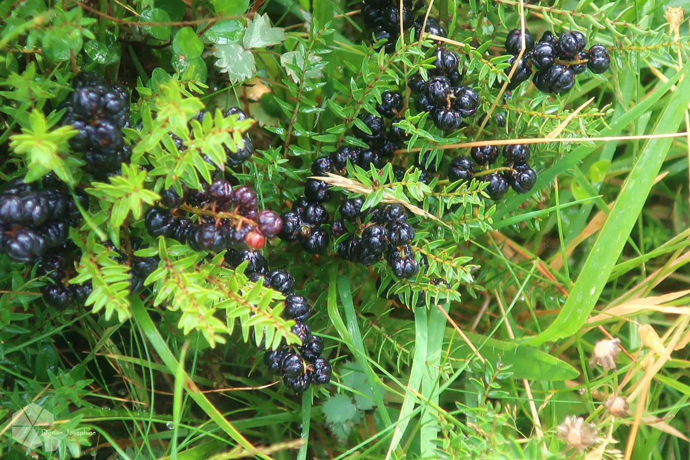 新西兰南岛一日游,新西兰南岛旅游地图