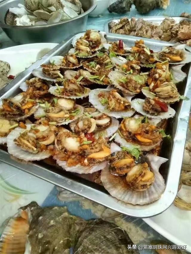 换一个角度享受生活乐趣,日照吴家台渔家乐推荐