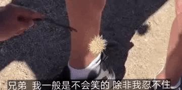 刚从后院挖出来的，大家帮我鉴定一下，我是不是要发财了？