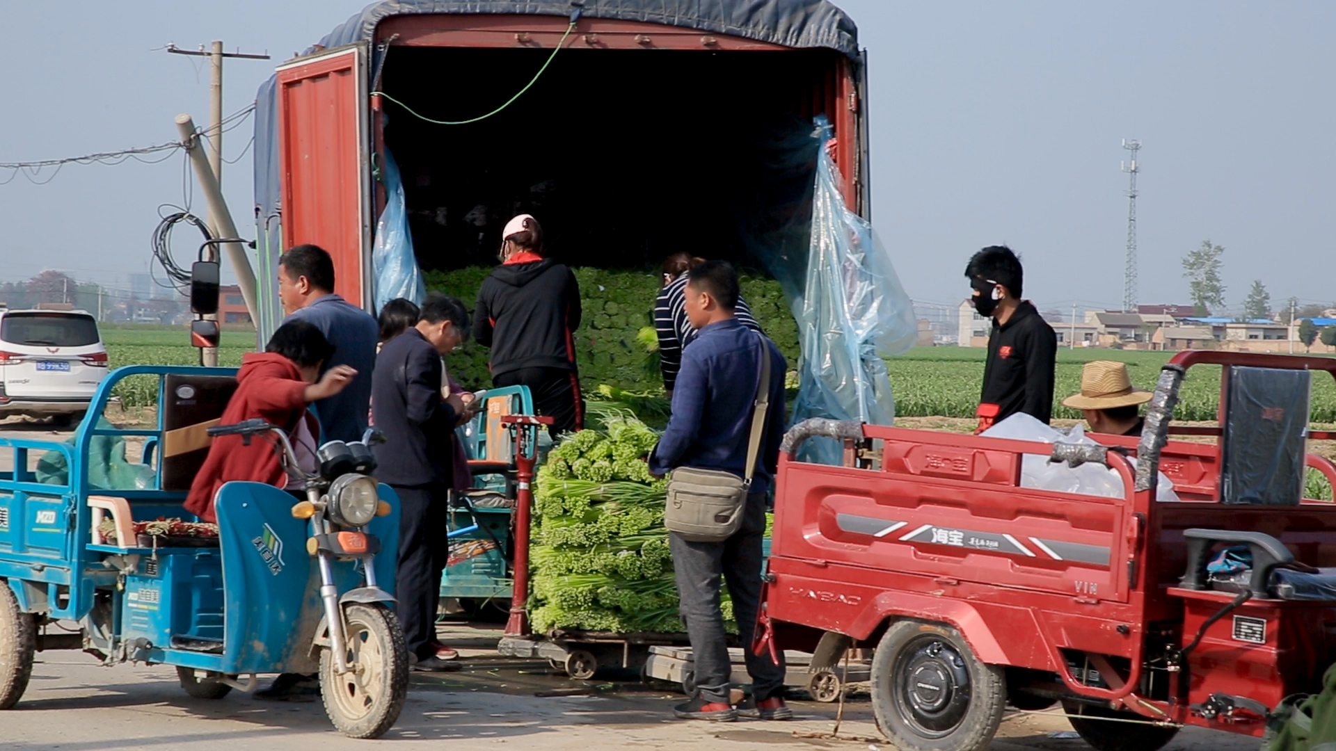 今年云南大蒜是增产还是减产,大蒜控旺打什么药
