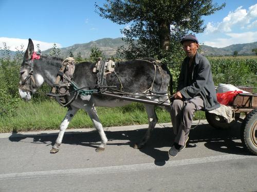 说出来你可能不信的事实,说出来你可能不信的梗出处