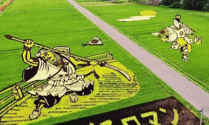 代表着先进小农经济的日本,农业情况其实并不乐观?