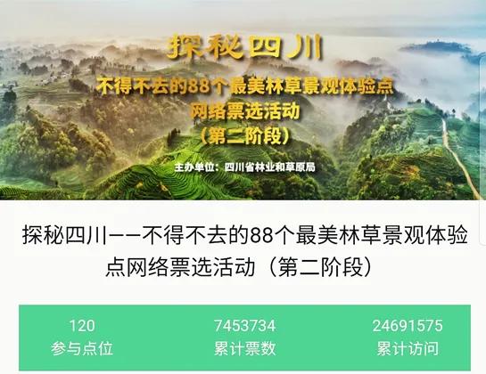 西昌邛海湿地的网红打卡树风景,邛海最美景点